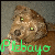 :iconplebayo: