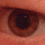 :iconplentweird: