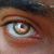 :iconPlezZenT: