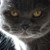 :iconplik22: