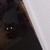 :iconplinkeyx102: