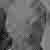 :iconplong:
