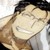 :iconpltn-theamericanway:
