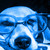 :iconpltnxphantom128: