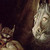 :iconplucas50: