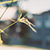 :iconplug-in-music-baby: