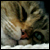 :iconplumeart: