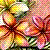 :iconplumeriamoon: