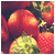 :iconplummx3: