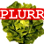 :iconplurr: