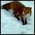 :iconplush-fox: