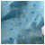 :iconplushgrubs: