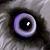 :iconplushieswolven: