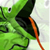 :iconplushsnake: