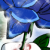 :iconplztsr04: