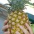 :iconpmasoni: