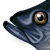 :iconpmowemo: