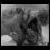 :iconpneumonia-land: