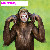 :iconpnkmnky011: