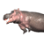 :iconpnkpanther55: