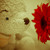 poachedEggs :iconpoachedeggs: