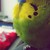 :iconpocket-nerd: