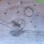 :iconpocket-owl5: