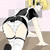 :iconpocketandmuffin: