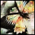 :iconpocketful-of-bliss: