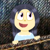 :iconpocketpjs: