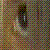 :iconpockyeatingpro: