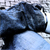 :iconpodox:
