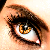 :iconpoeland: