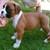 :iconpoems4044: