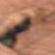 :iconpoemscratcher: