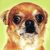 :iconpoet-at-heart55: