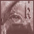 :iconpoet-in-hiding79: