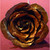 :iconpoethealing: