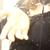 :iconpoetic-acid: