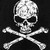 :iconpoetic-pirates-inc: