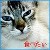 :iconpoeticann22: