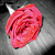 :iconpoetofthenight93141: