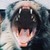 :iconpoetrae: