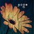 :iconpogoapple: