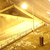 :iconpoint-ex: