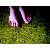:iconpoint-virgule: