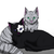 :iconpointedflower: