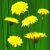 :iconpoison--oak: