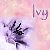 :iconpoison-ivy-787: