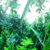 :iconpoison-ivy098:
